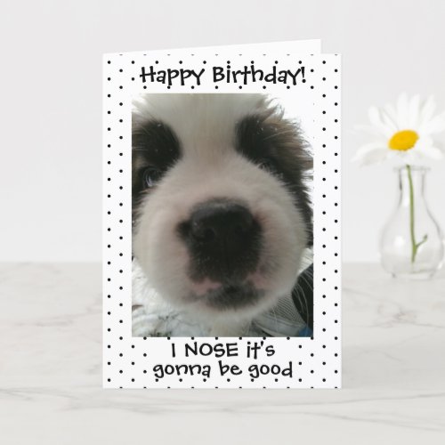 Cute Puppy I Nose its Your Birthday Polka Dot Card