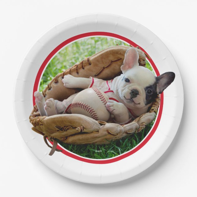 Cute Puppy in a Baseball Mitt Paper Plates (Front)