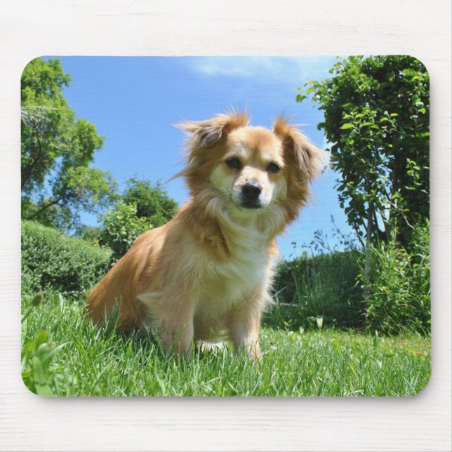Cute Puppy in Garden Mouse Pad (Front)
