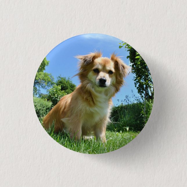 Cute Puppy in Garden Photo Button (Front)