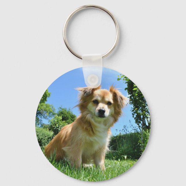 Cute Puppy in Garden Photo Keychain (Front)