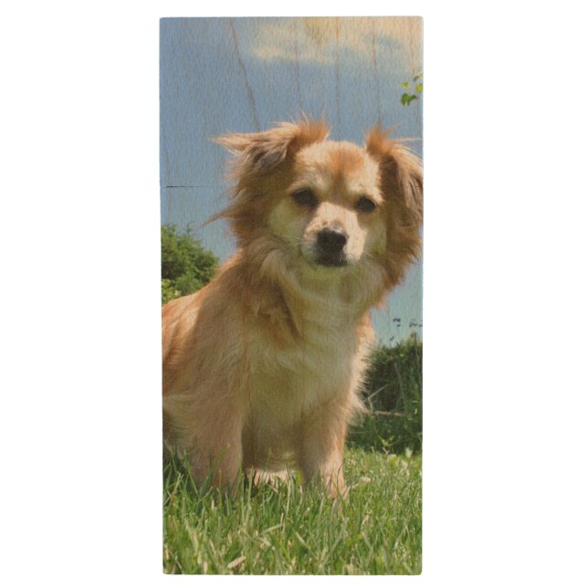 Cute Puppy in Garden Photo Wood Flash Drive (Front Vertical)