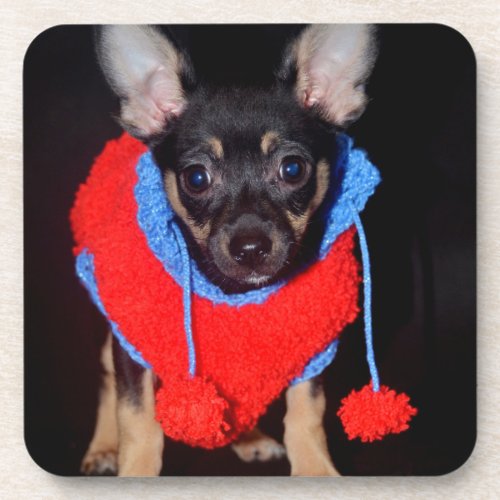 Cute Puppy in Red Wool Sweater Beverage Coaster