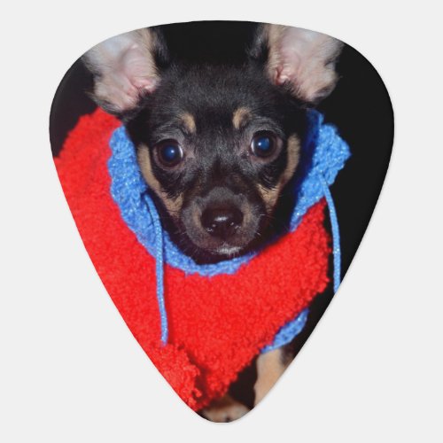 Cute Puppy in Red Wool Sweater Guitar Pick