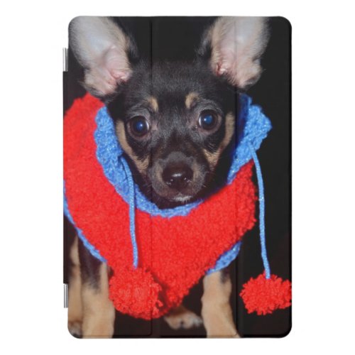 Cute Puppy in Red Wool Sweater iPad Pro Cover