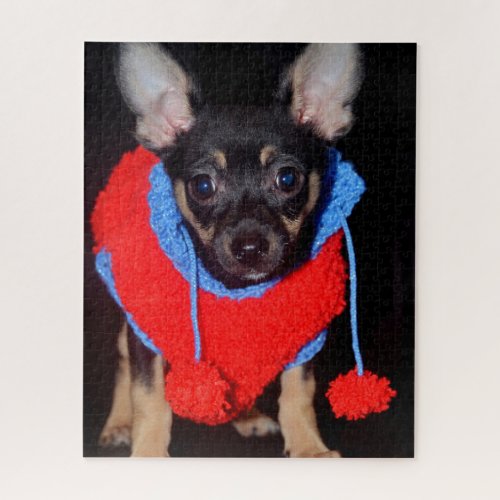 Cute Puppy in Red Wool Sweater Jigsaw Puzzle