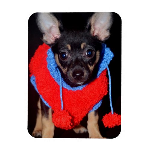 Cute Puppy in Red Wool Sweater Magnet