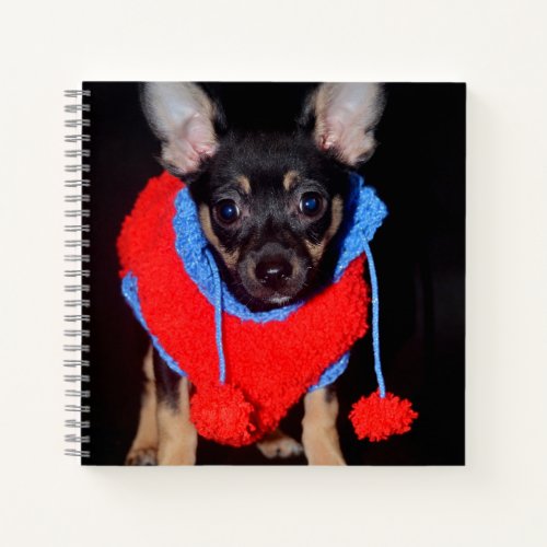 Cute Puppy in Red Wool Sweater Notebook