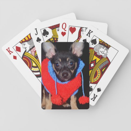Cute Puppy in Red Wool Sweater Playing Cards