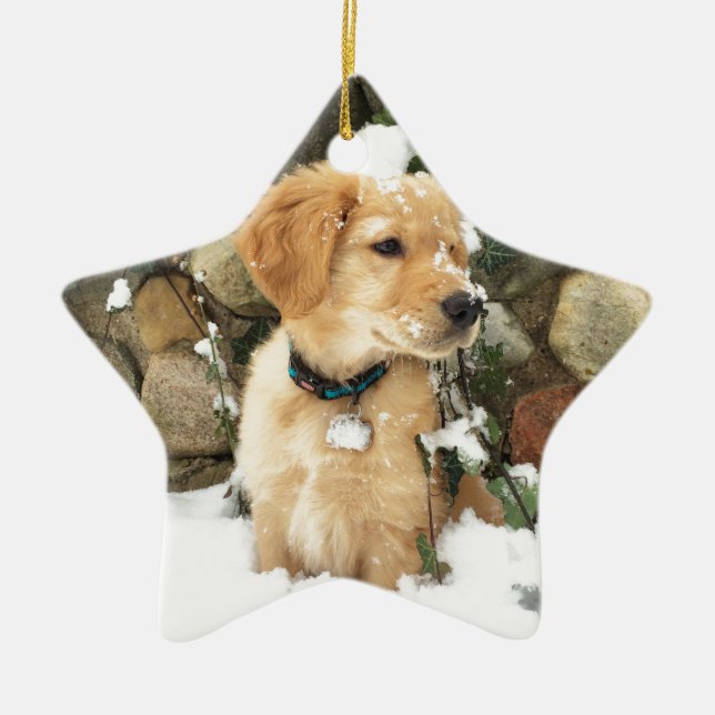 Cute Puppy lab retriever  Ceramic Ornament (Front)