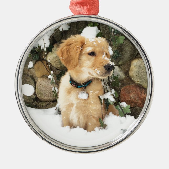 Cute Puppy lab retriever  Metal Ornament (Front)