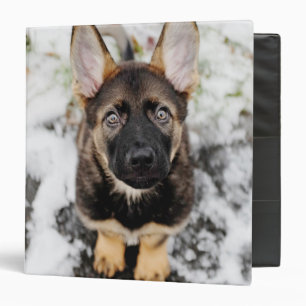 Cute Puppy Looking Up Binder