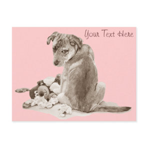 Cute puppy mixed breed with teddy dog postcard
