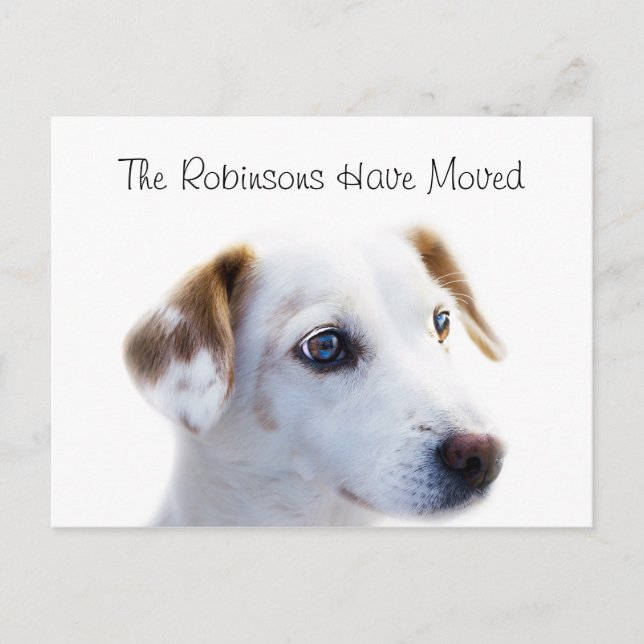 Cute Puppy New Address Announcement Postcard (Front)