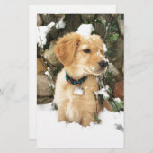 Cute Puppy photo (Front/Back)