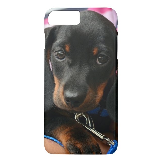 Cute Puppy Photo Cell Phone Case (Back)