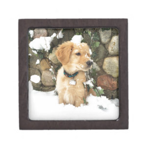 Cute Puppy photo Jewelry Box