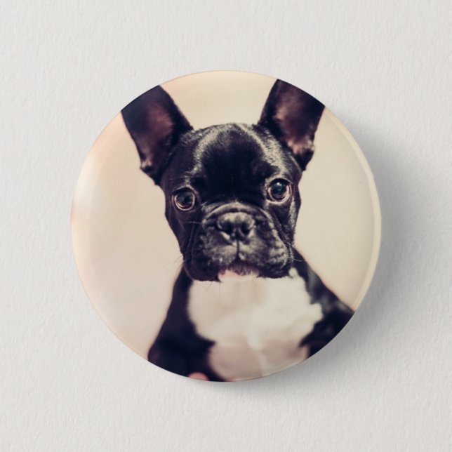 cute puppy pinback button (Front)
