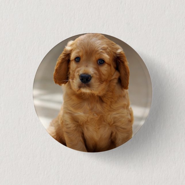 Cute Puppy Portrait Photo Button (Front)