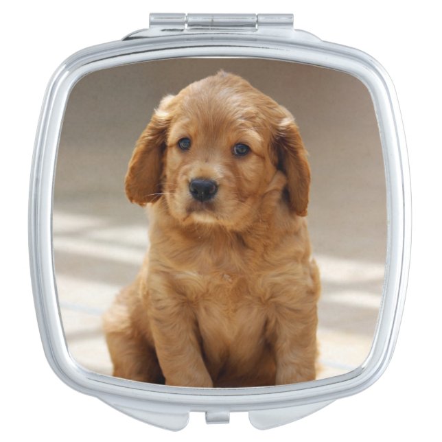 Cute Puppy Portrait Photo Compact Mirror (Front)