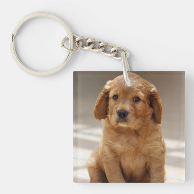 Cute Puppy Portrait Photo Keychain (Front)