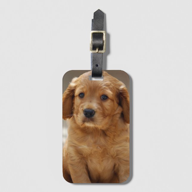 Cute Puppy Portrait Photo Luggage Tag (Front Vertical)