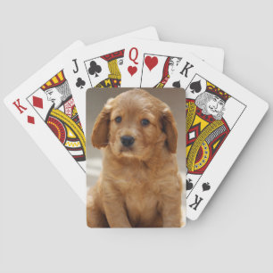 Cute Puppy Portrait Photo Poker Cards