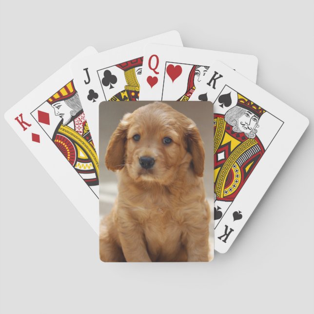 Cute Puppy Portrait Photo Poker Cards (Back)