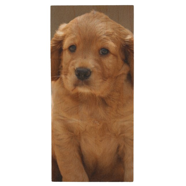 Cute Puppy Portrait Photo Wood Flash Drive (Front Vertical)