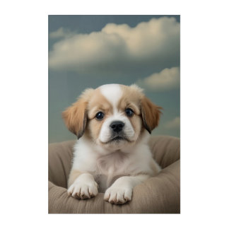 Cute puppy poster acrylic print