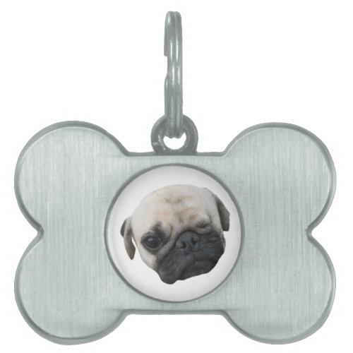 Cute Puppy Pug Dog Friend  かわいい 子犬 Pet ID Tag