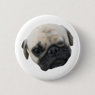 Cute Puppy Pug Dog Friend ... かわいい 子犬 Pinback Button