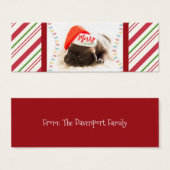 Cute Puppy Pug in a Red Santa Hat Christmas (Front & Back)