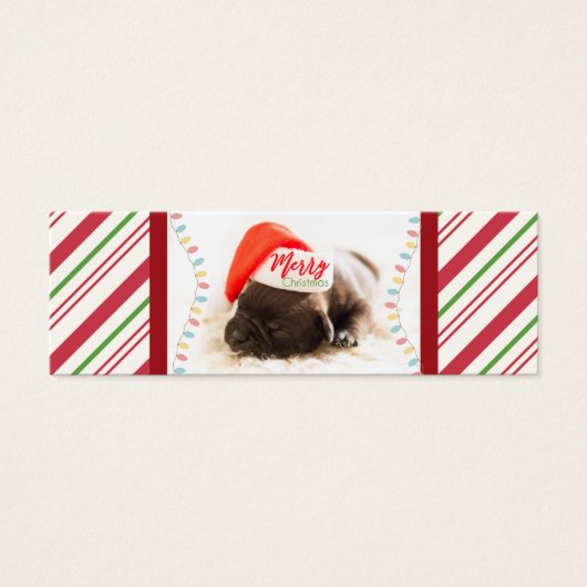 Cute Puppy Pug in a Red Santa Hat Christmas (Front)