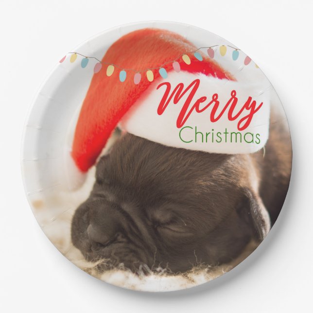 Cute Puppy Pug in a Red Santa Hat Christmas Paper Plates (Front)