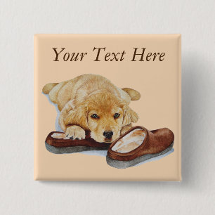 cute puppy retriever dog cuddling slippers button