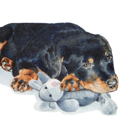 cute puppy rottweiler cuddling teddy bear jigsaw puzzle