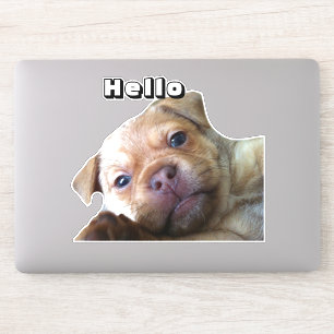 Cute Puppy Says Hello Phone Decoration Sticker