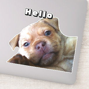 Cute Puppy Says Hello Phone Decoration Sticker