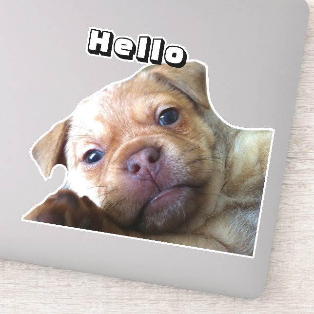 Cute Puppy Says Hello Phone Decoration Sticker (Detail)