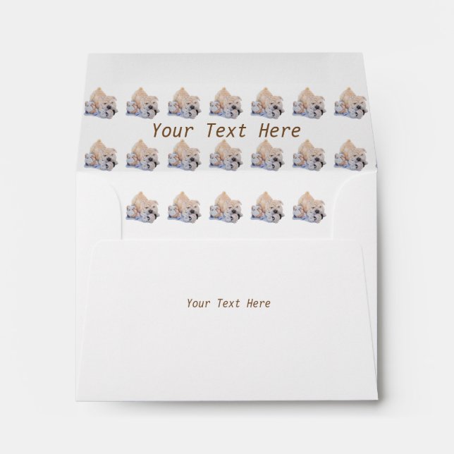 Cute puppy shar pei dog cuddling teddy envelope (Back (Bottom))