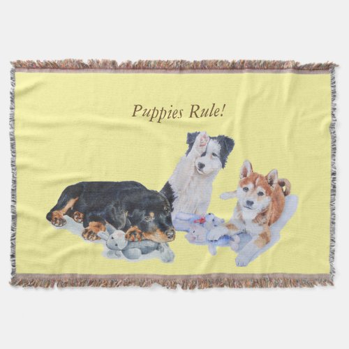 cute puppy sheba inu rotty border collie throw blanket