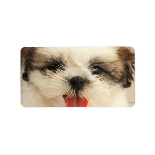 Cute Puppy Shih Tzu Label