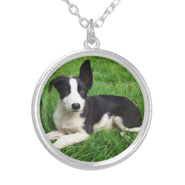 Cute Puppy Silver Plated Necklace (Front)