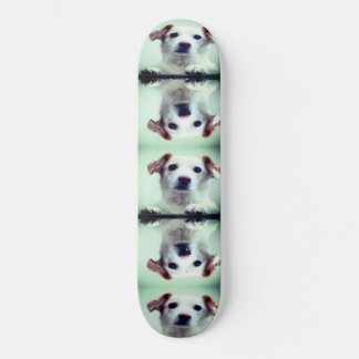 Cute Puppy Skateboard