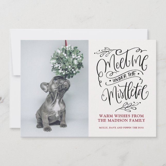 Cute Puppy Sniffing Mistletoe Christmas Holiday Card (Front)