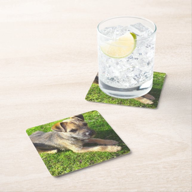 Cute Puppy Square Paper Coaster (Insitu)