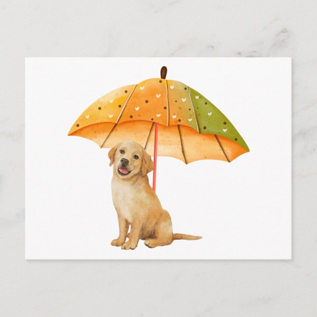 Cute Puppy under Autumn Color Umbrella  Postcard (Front)