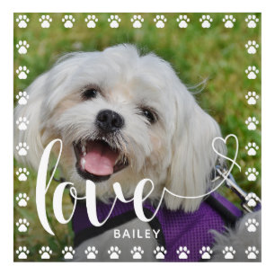 Cute Puppy Valentines Day Pet Puppy Dog Photo Acrylic Print