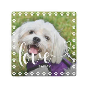 Cute Puppy Valentines Day Pet Puppy Dog Photo Metal Print